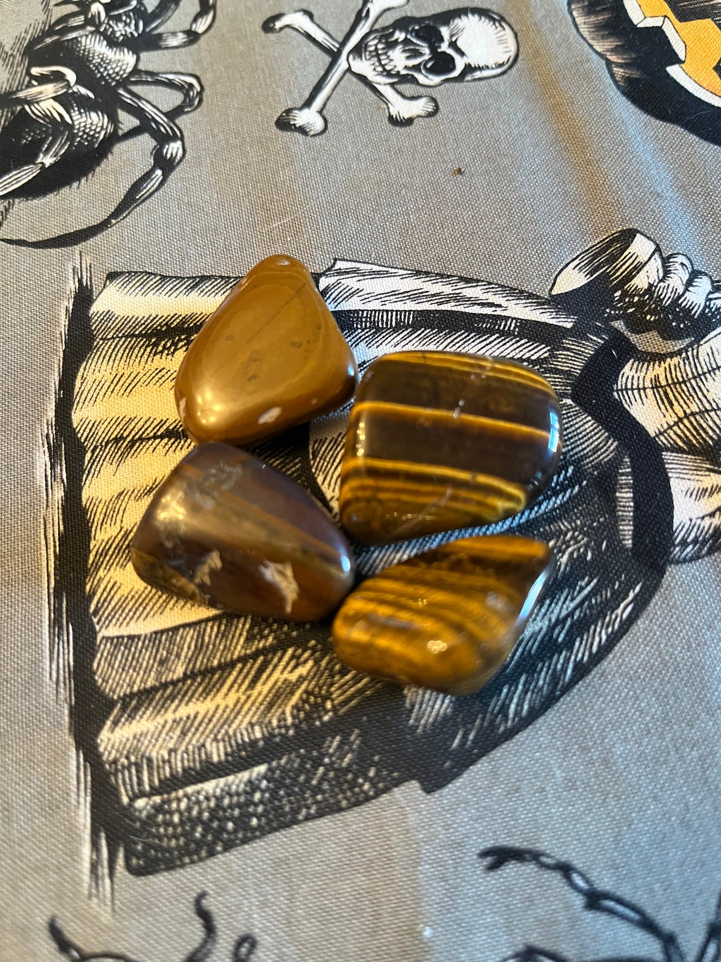 Tigers Eye Tumbles