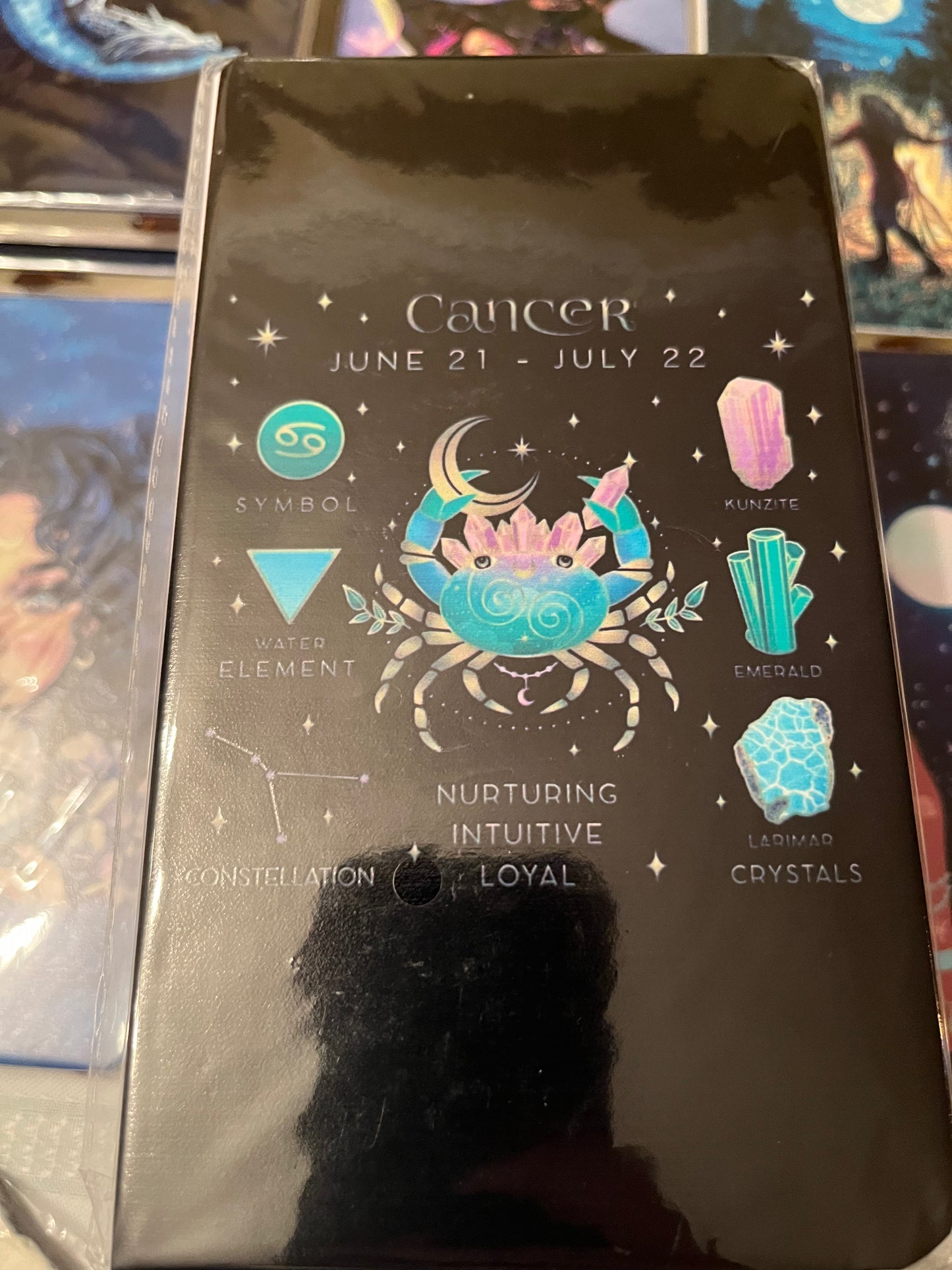 Zodiac Notebooks