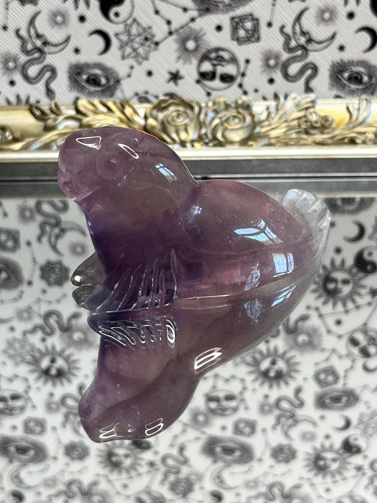 Fluorite Seal