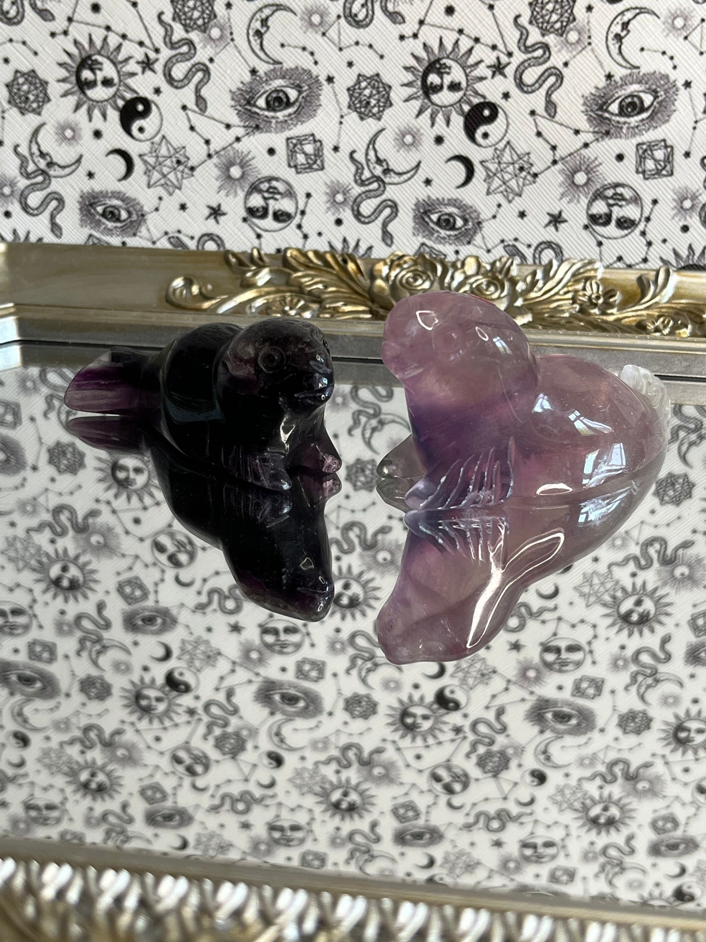 Fluorite Seal