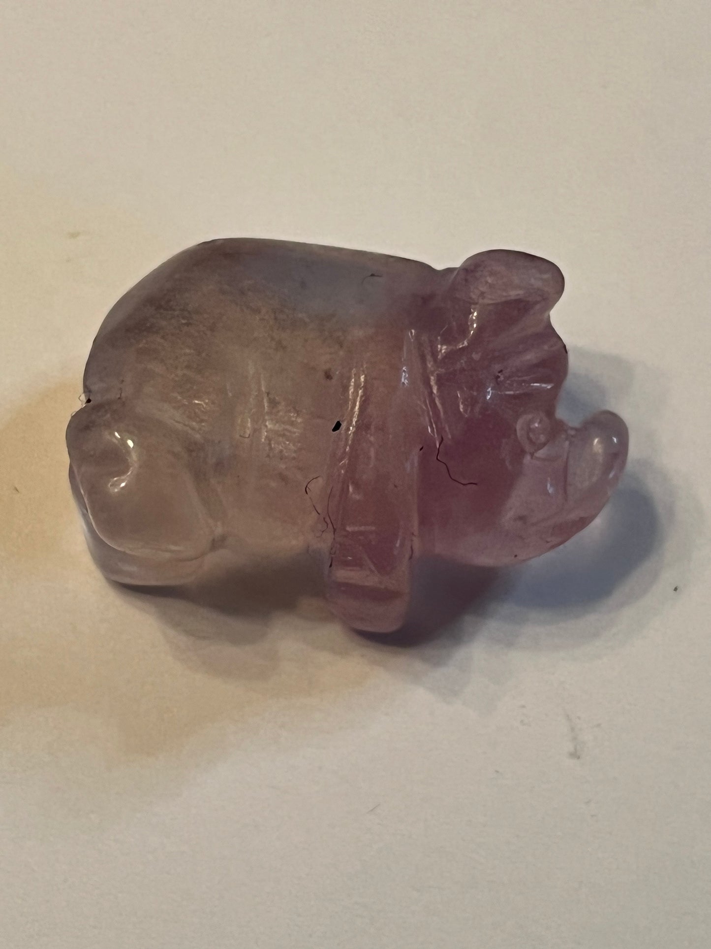 Mini Pigs