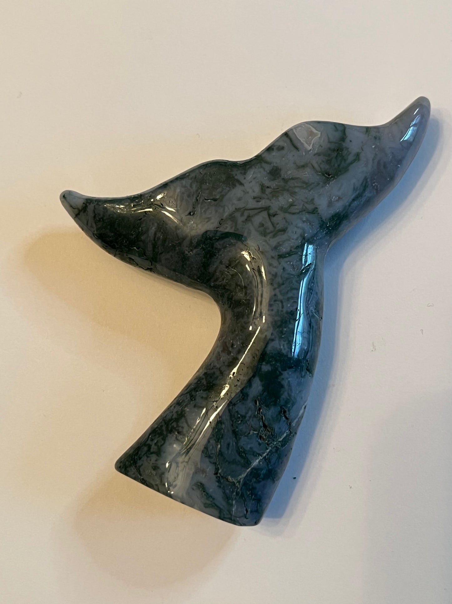 Whale Tail