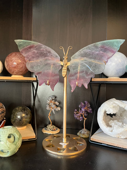 Fluorite Butterfly Wings