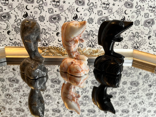 Dolphins
