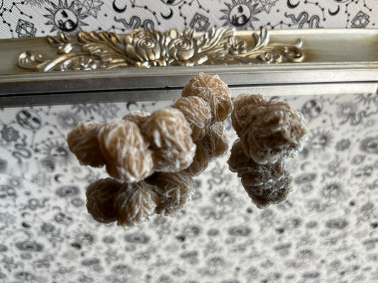 Desert Rose Raw