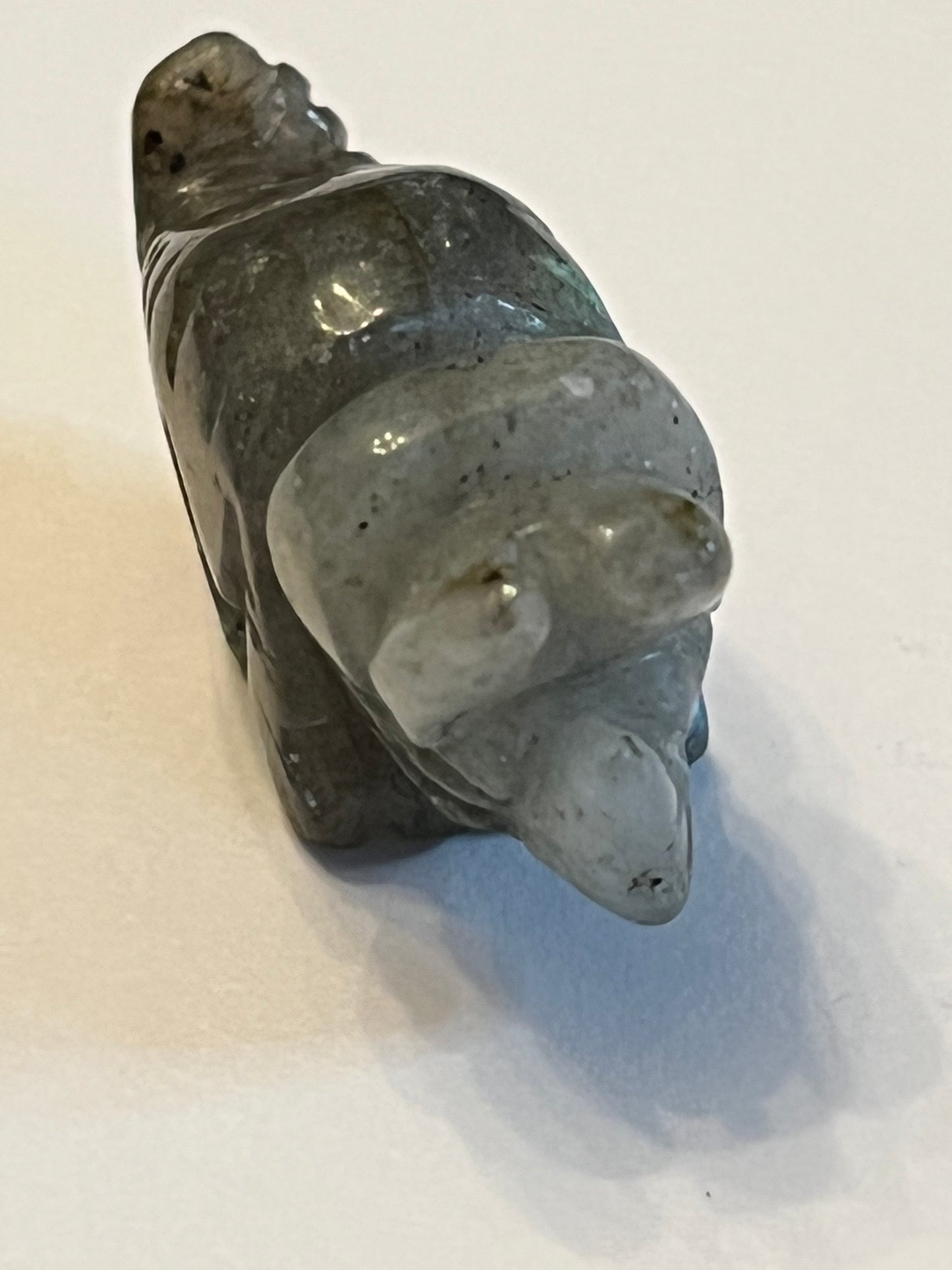 Mini triceratops -Labradorite