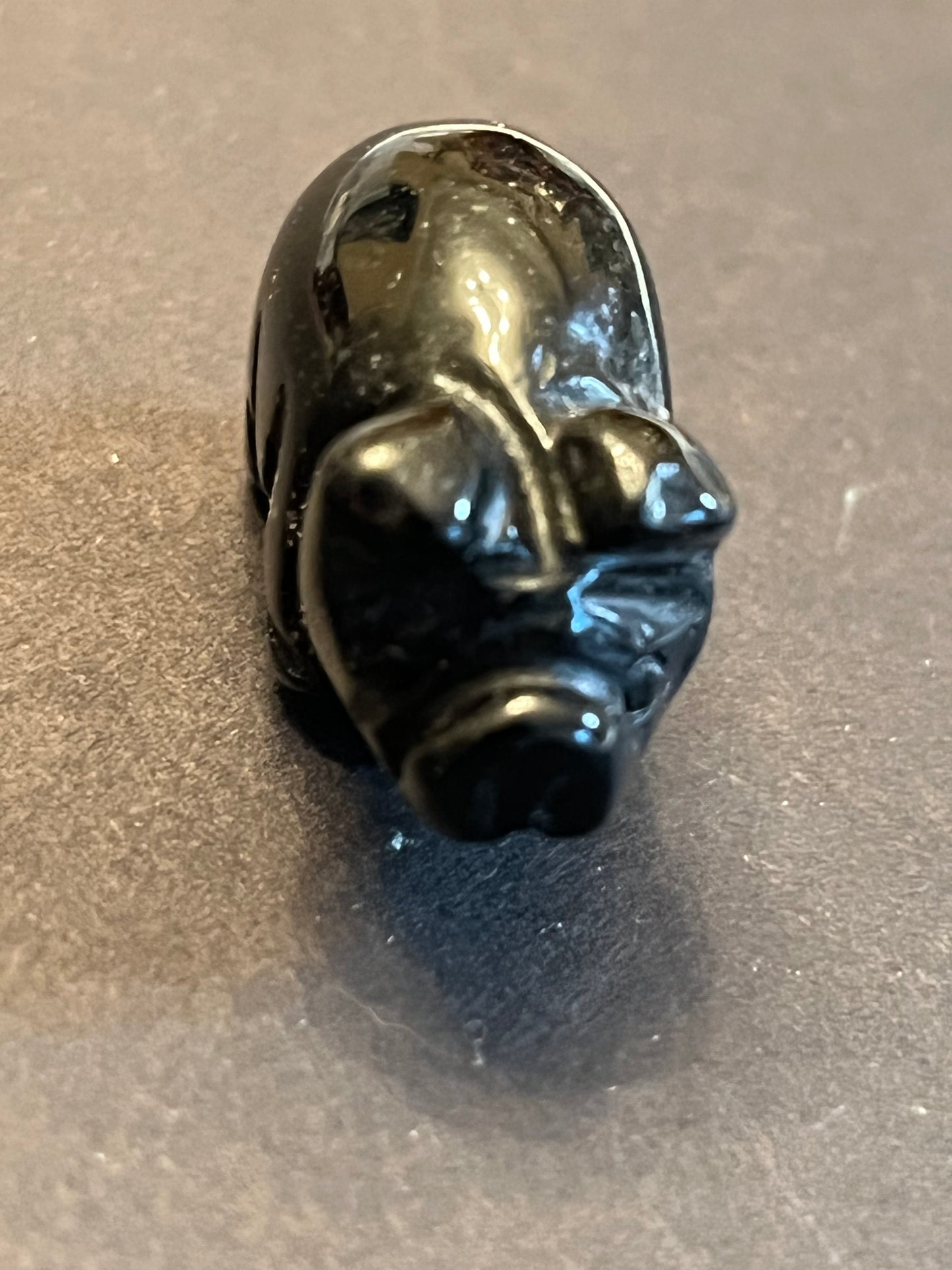 Mini Pigs
