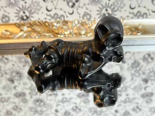 Skeleton