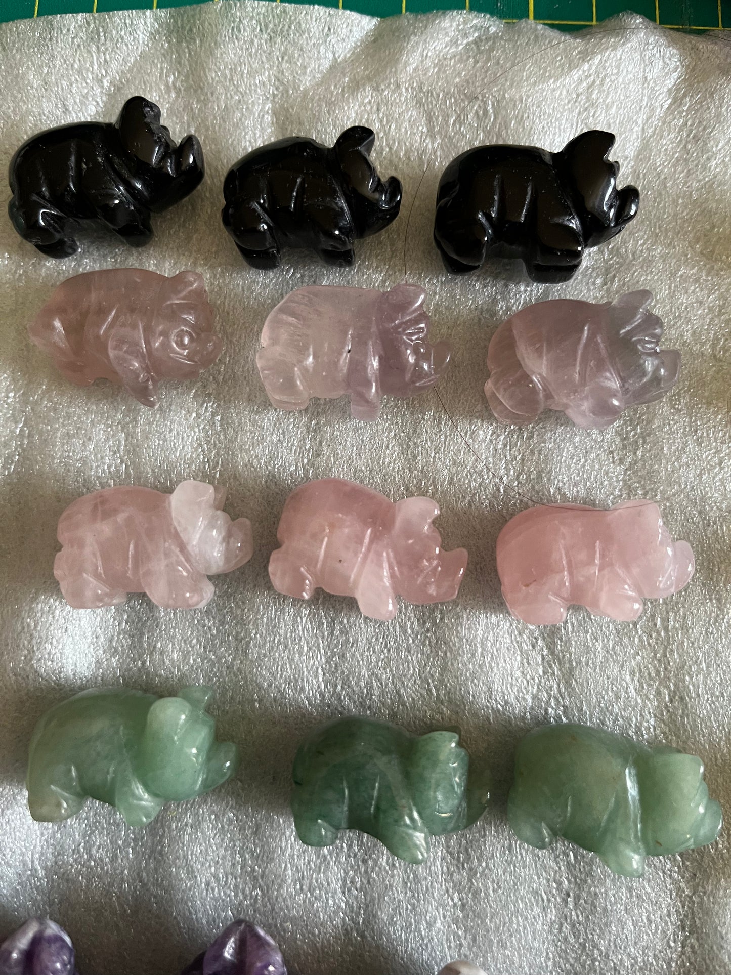 Mini Pigs