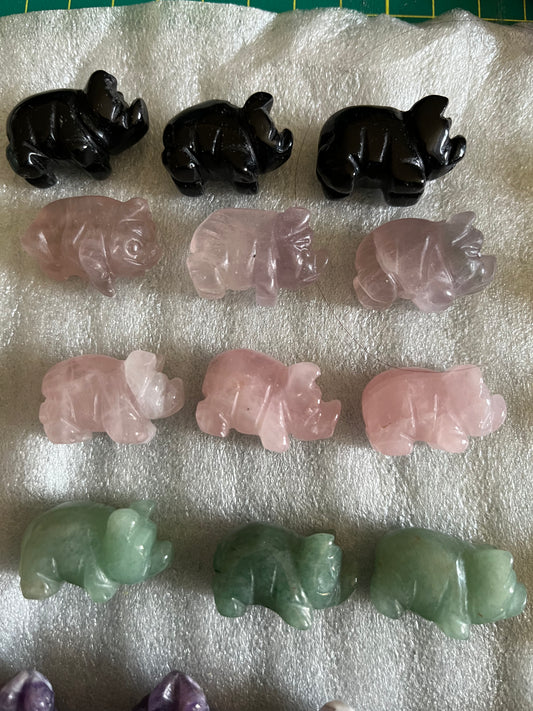 Mini Pigs