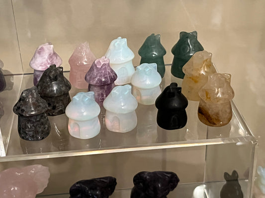 Mini Mushroom Houses
