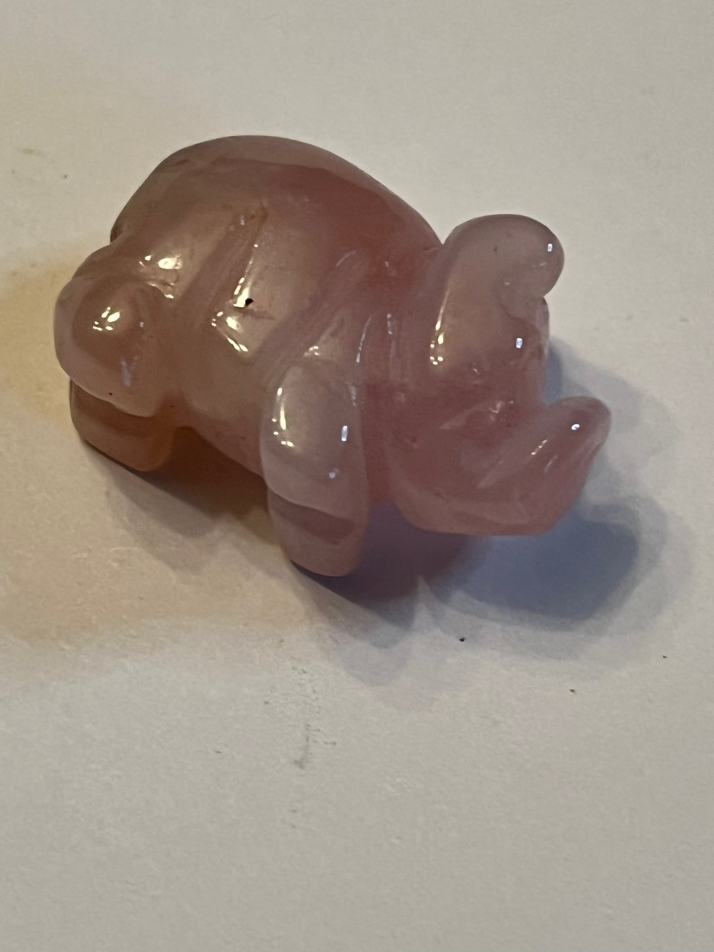 Mini Pigs